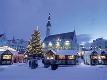 Christmas market in Tallinn Estonia 