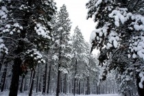 Christmas morning in Bend Oregon 