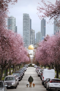 City of Vancouver in Bloom