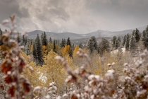 Clash of Seasons Peak to Peak Highway - Colorado 