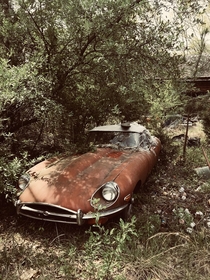 Classic Jaguar left to rot oil Virginia 