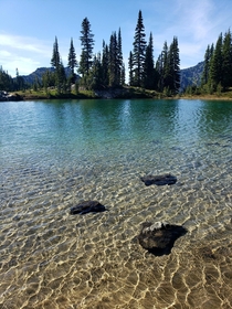 Clear mountain lake near Mt Rainier 