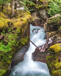 Cliche for a reason - the incredible Avalanche Creek Gorge of Glacier National Park 
