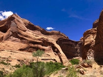 Cliff Arch Escalante area of southern Utah 