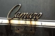 Close up of classic Camaro emblem in a feild location unknown 