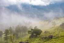 Clouds rolling through the hills of Ponmudi in Kerala 