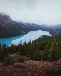 Cloudy morning over Peyto Lake in Banff AB Canada 