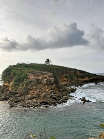 Coast of Puerto Rico 