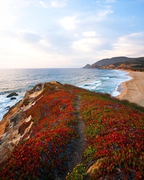 Coastal Sunset- Monterey California 