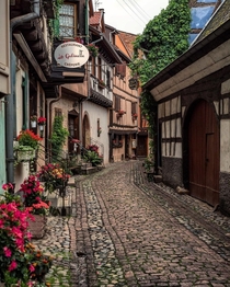 Cobblestone alley in Eguisheim a small village in Alsace Grand Est northeastern France