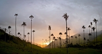 Cocora Valley Colombia - also known as the Valley of the Palm 
