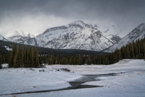 Cold and gloomy afternoon in Banff National Park Alberta Canada 