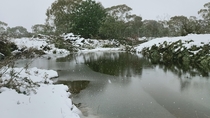 Cold snap hits NSW Australia