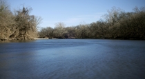 Colorado River Webberville Texas