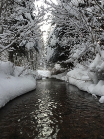 Colorado winter creek 