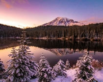 Colorful sunset reflection of Mount Rainier - Washington OC  IG explore_with_tristan