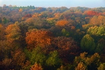 Colors of Autumn in Belgrade Serbia 