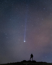 Comet F Swan on its way to the northern hemisphere 