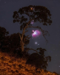 Composite of Orion Nebula