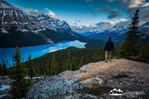 Contemplating Peyto Banff National Park Canada   Callum Snape