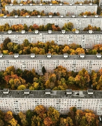 Copy Pasted Apartment Buildings in Moscow Russia 