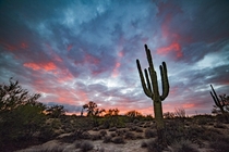 Cotton Candy Skies above the Desert Arizona allen_meyer