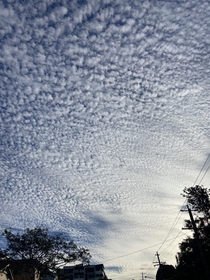 Cotton skies in Brisbane Australia