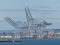 Cranes NY Harbor  