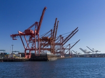 Cranes on the waterfront Seattle WA 