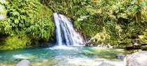 Crawfishes waterfall Guadeloupe 