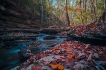 Creek at a secret location in Kentucky 