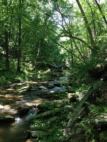 Creek in Quarryville PA 