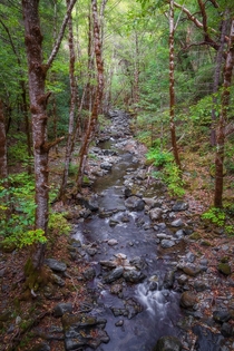 Creek in Southern Oregon 