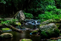 Creek in the Tropics Cairns Queensland Australia 