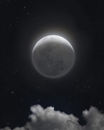 Crescent Moon 