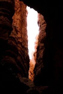 Crevice in Bryce Canyon Utah 