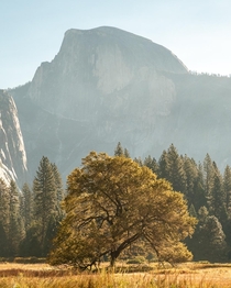 Crisp autumn day in Yosemite CA 
