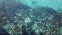 Crystal clear water Ive only ever dreamt of Xlendi Bay Malta OC
