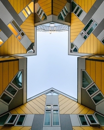 Cube Houses in Rotterdam 