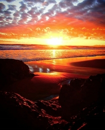 Currumbin Beach Sunrise