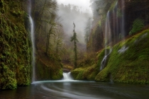Curtains in the Fog - Punch Bowl Falls on Eagle Creek in the Columbia River Gorge Oregon  by Miles Morgan