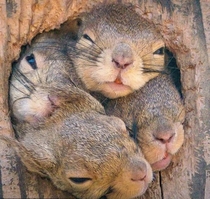 Cute Family Rest on Sunday