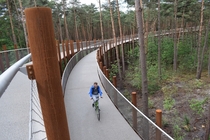 Cycling through the trees Belgium 