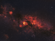 Cygnus constellation in bicolor