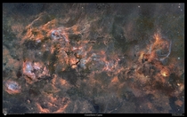 Cygnus Mosaic  -    Image Credit amp Copyright J-P Metsavainio Astro Anarchy