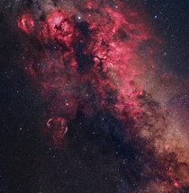 Cygnus Skyscape by Alistair Symon