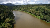 Daintree River near Kuranda Queensland Australia 