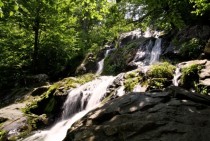 Dark Hollow Falls in Shenandoah National Park Virginia 