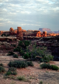 Dawn in the Needles area of Canyonlands NP Utah  scanned slide