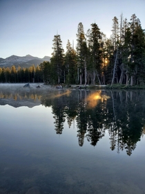 Dawn  Wrights Lake CA 